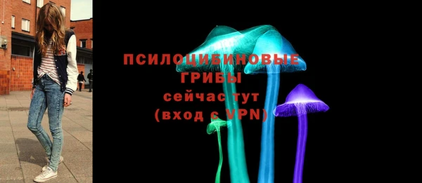 тгк Арсеньев