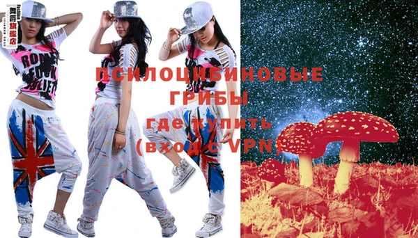 ПСИЛОЦИБИНОВЫЕ ГРИБЫ Армянск
