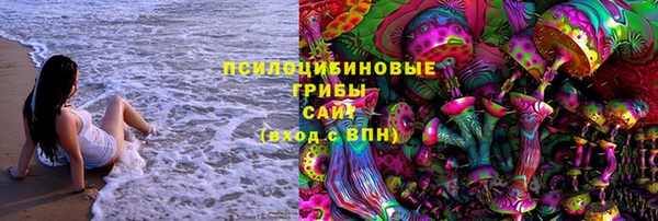ПСИЛОЦИБИНОВЫЕ ГРИБЫ Армянск