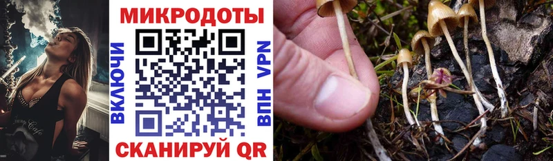 Галлюциногенные грибы MAGIC MUSHROOMS  Таруса 